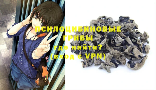 первитин Киреевск