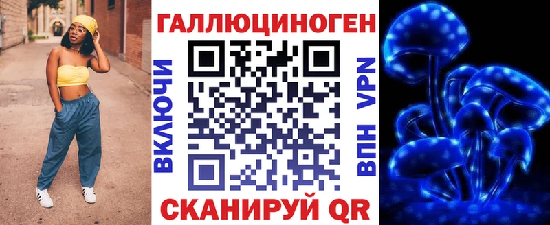 Купить  Боровичи  Псилоцибиновые грибы MAGIC MUSHROOMS 